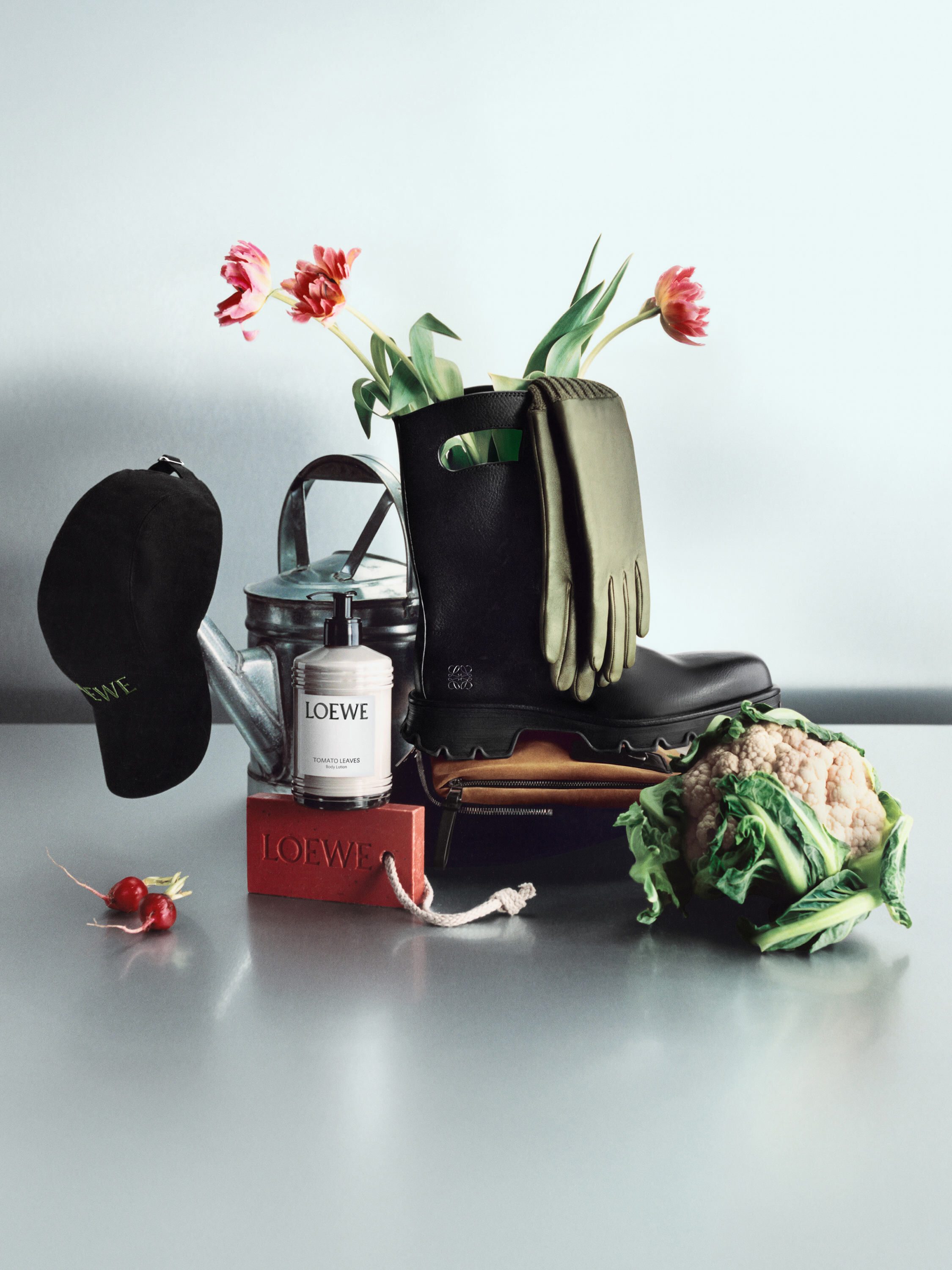 ハイブランドプレゼント - ウィメンズ＆メンズ ギフト - LOEWE - LOEWE